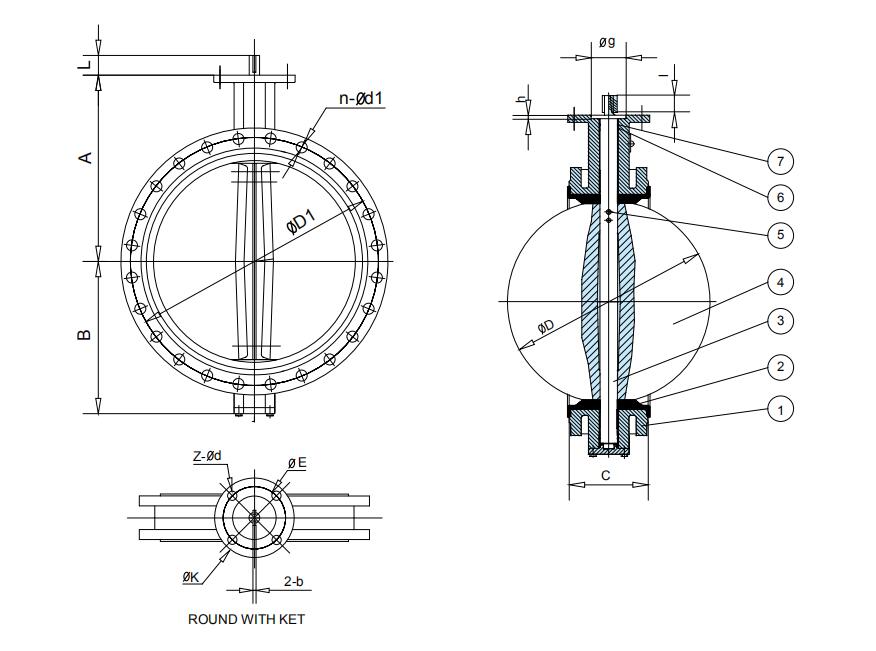 TW Butterfly Valve