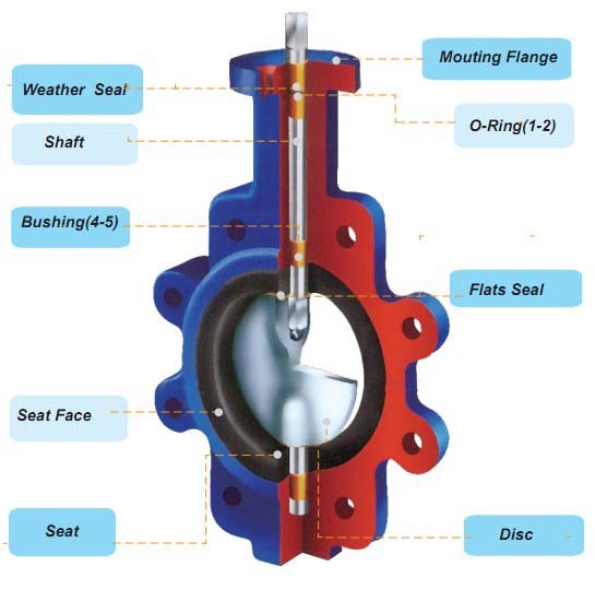 Lug Type Butterfly Valve with Hand Lever