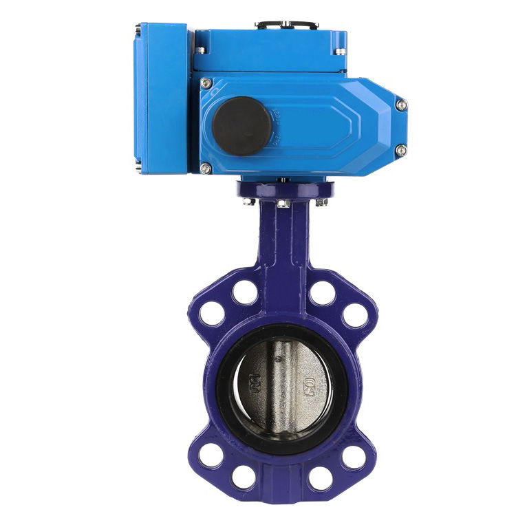 Multiple standards wafer butterfly valve with electric actuator
