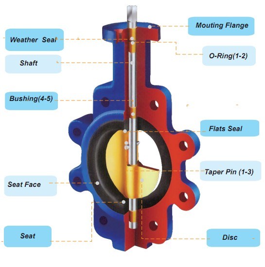 Stainless Steel Lug Type Butterfly Valve