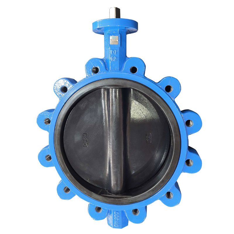 Heat-resistant, anti-static, anti-corrosion, anti-acid and alkali HALAR Spraying Lug butterfly valve