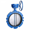 Through Shaft Without Pin Lug Type Butterfly Valve