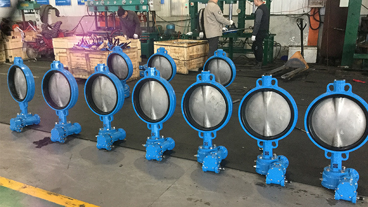 Pn10 Pn16 High Quality Wafer Connection Centreline PTFE Butterfly Valve