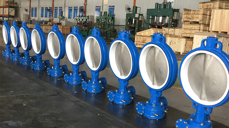 Cast Iron Two Fluorine Double-Clip Pneumatic or Electric Drive Centerline for Fire Fighting Worm Gear Butterfly Valve Prices