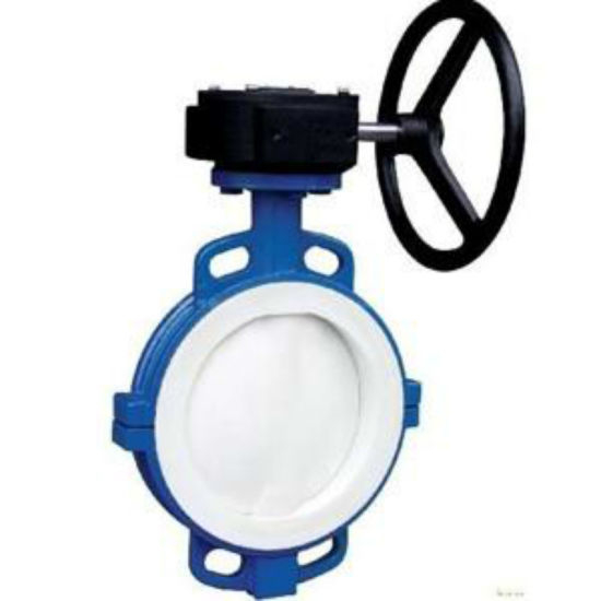 PTFE Lined Lug Butterfly Valve with Gear