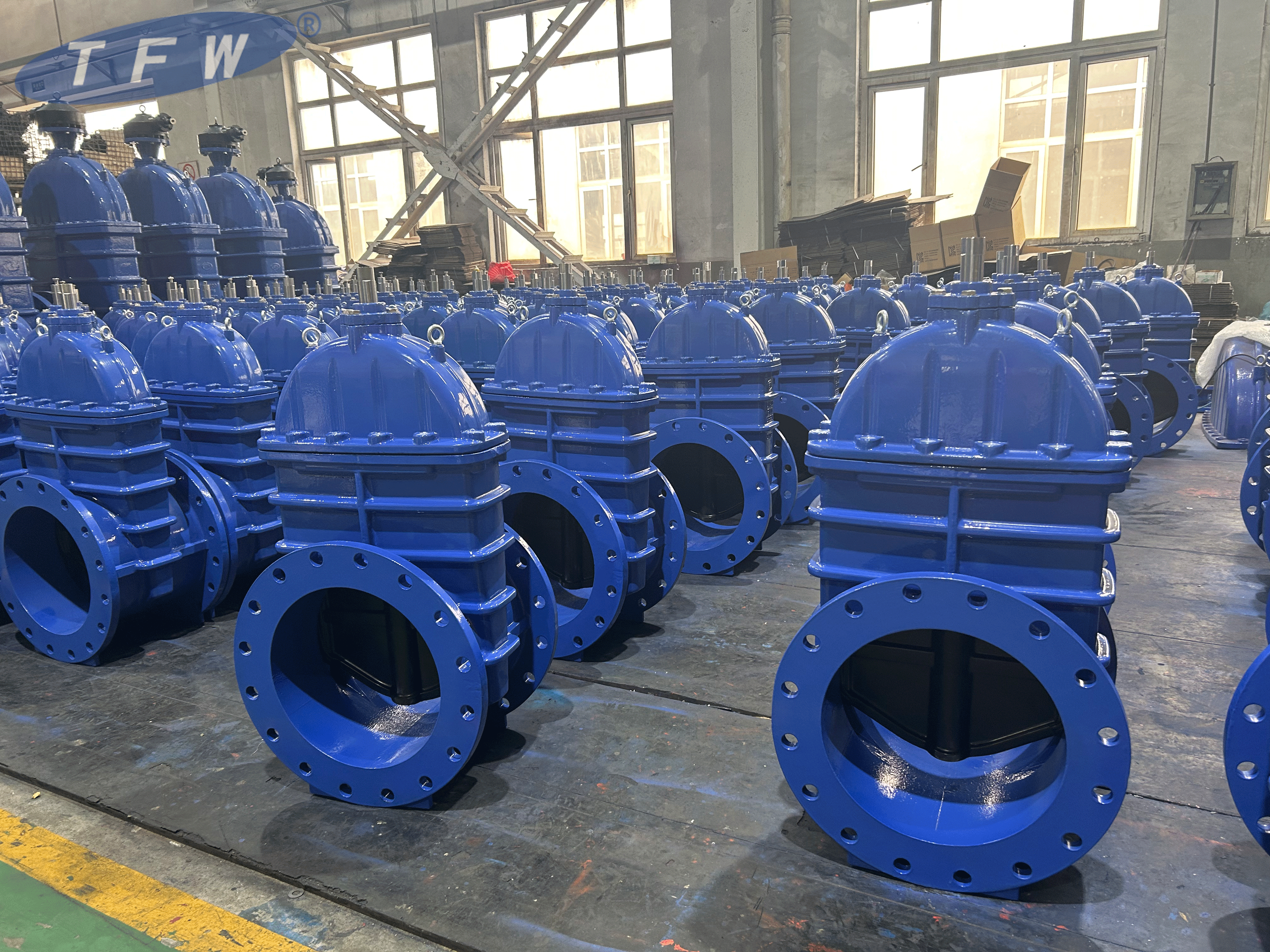 gate valve