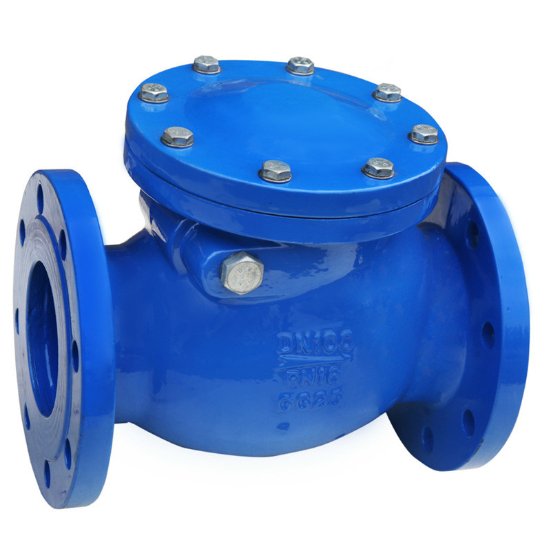 ANSI B16. Dn300 Cast Iron Swing Check Valve with Flange