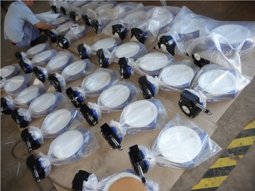 Hot Sale Wafer Type Butterfly Valve with PTFE Encapsulated Disc
