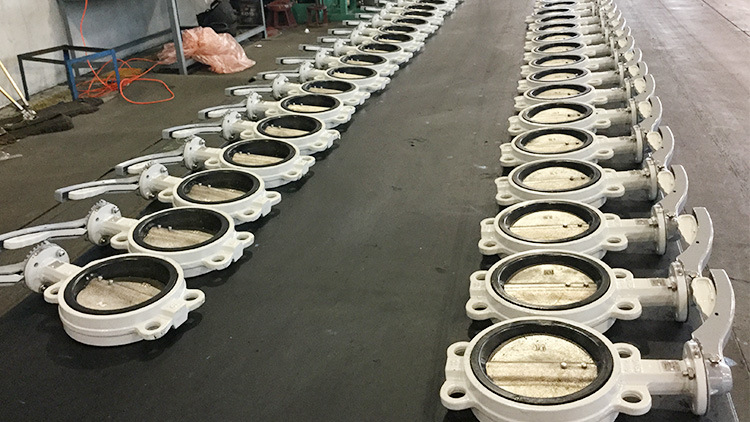 Dn50 Cast Iron Grooved Type Fire Fighting Butterfly Valve