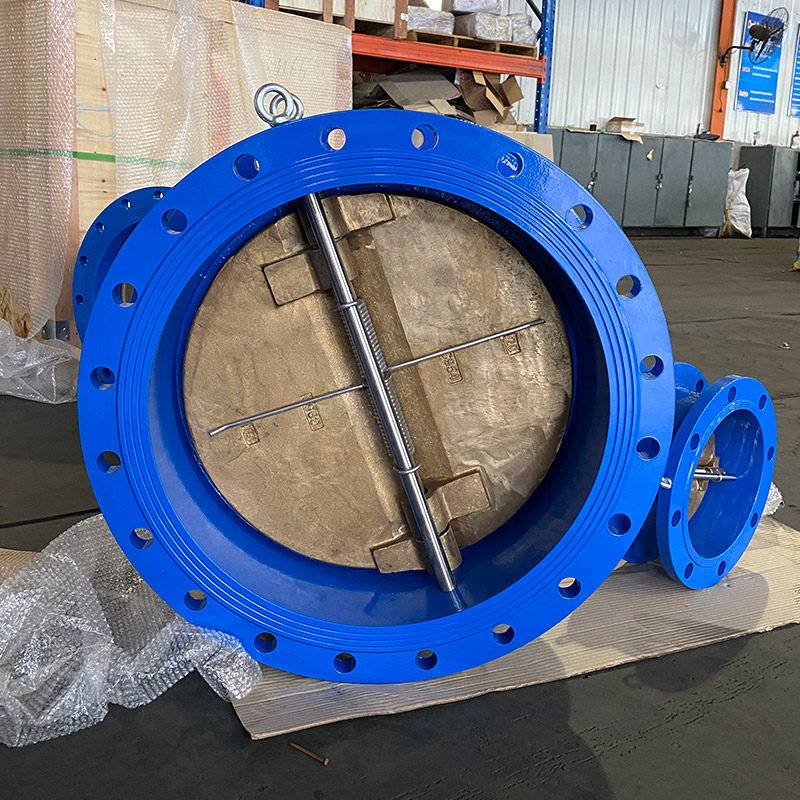 Flange double plate check valve