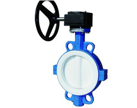 Dulex Stainless Steel Butterfly Valve Pn16