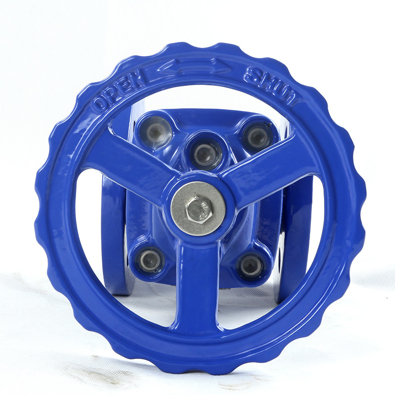 Cast Iron DIN Dn800 Pn16 Soft Seal Resilient Seat Non-Rising Stem Flanged Manual Operated Gate Valve