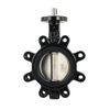 Worm Gear Wafer Lt Butterfly Valve Dn125 Low Price Butterfly Valve