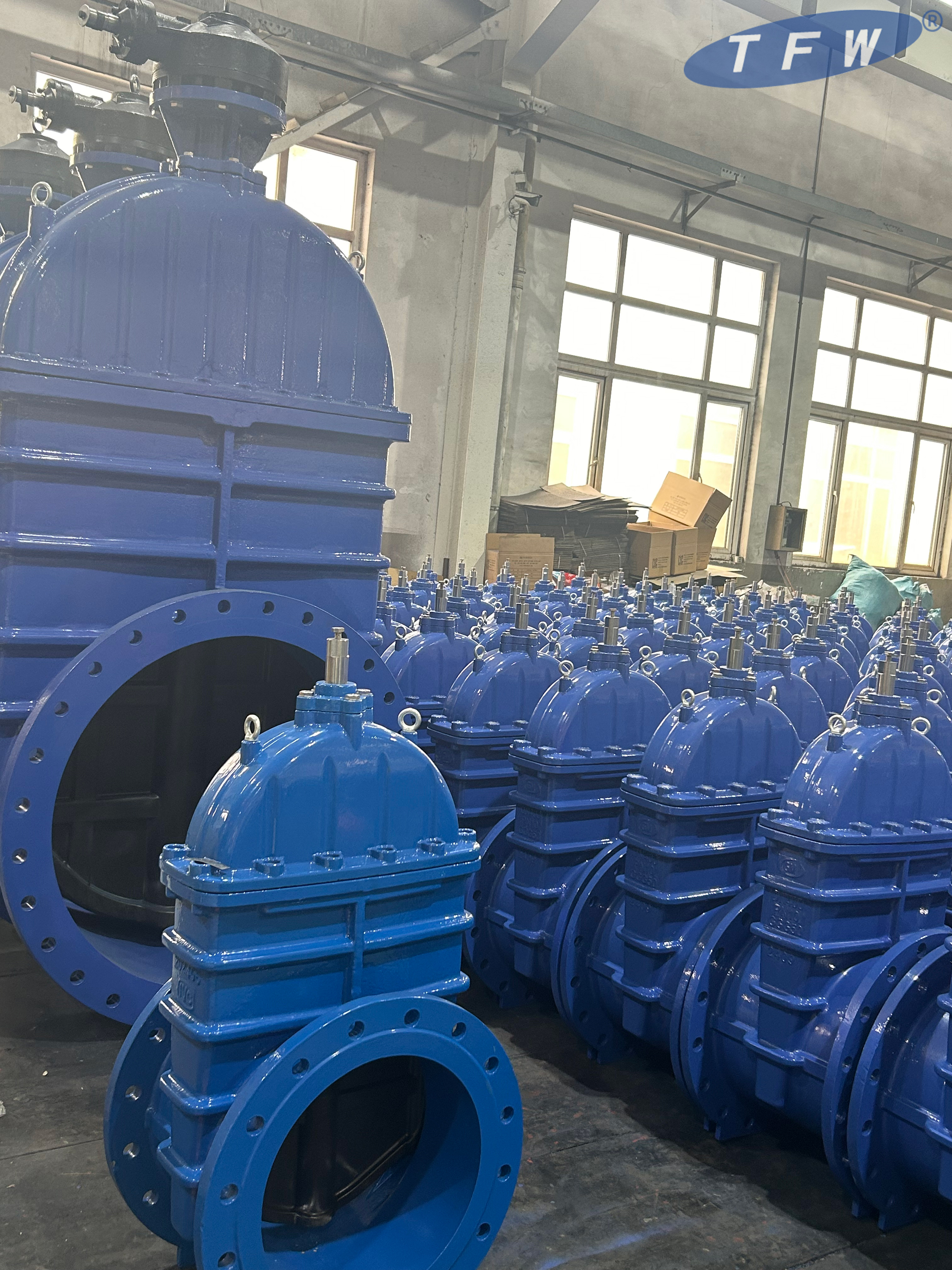 TFW-gate-valve